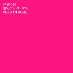 #FB1580 - Persian Rose Color Image