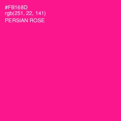 #FB168D - Persian Rose Color Image