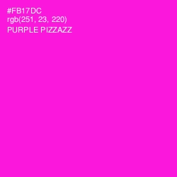 #FB17DC - Purple Pizzazz Color Image