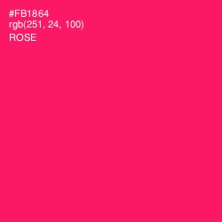 #FB1864 - Rose Color Image