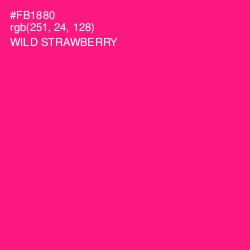 #FB1880 - Wild Strawberry Color Image