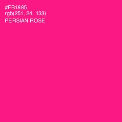 #FB1885 - Persian Rose Color Image