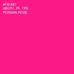 #FB1887 - Persian Rose Color Image