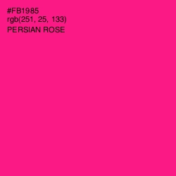 #FB1985 - Persian Rose Color Image