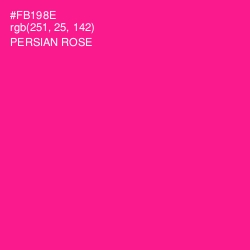#FB198E - Persian Rose Color Image