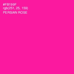 #FB199F - Persian Rose Color Image