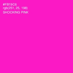 #FB19C6 - Shocking Pink Color Image