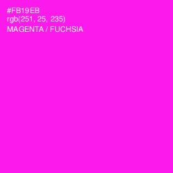 #FB19EB - Magenta / Fuchsia Color Image