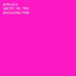 #FB1AC3 - Shocking Pink Color Image