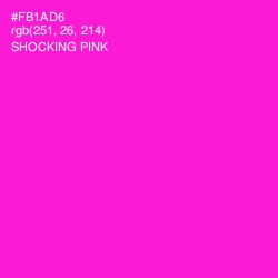 #FB1AD6 - Shocking Pink Color Image