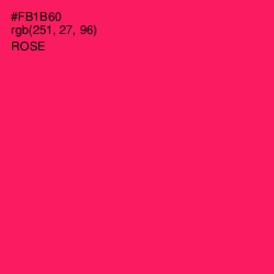 #FB1B60 - Rose Color Image