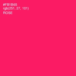 #FB1B65 - Rose Color Image