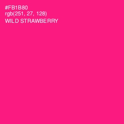 #FB1B80 - Wild Strawberry Color Image