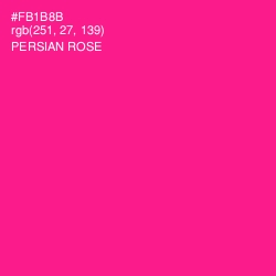 #FB1B8B - Persian Rose Color Image