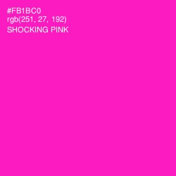 #FB1BC0 - Shocking Pink Color Image