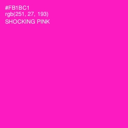 #FB1BC1 - Shocking Pink Color Image