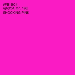 #FB1BC4 - Shocking Pink Color Image