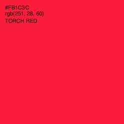 #FB1C3C - Torch Red Color Image
