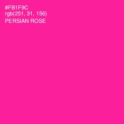 #FB1F9C - Persian Rose Color Image