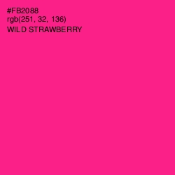 #FB2088 - Wild Strawberry Color Image