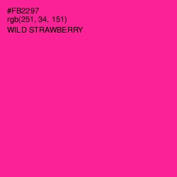 #FB2297 - Wild Strawberry Color Image