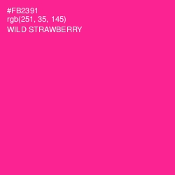 #FB2391 - Wild Strawberry Color Image