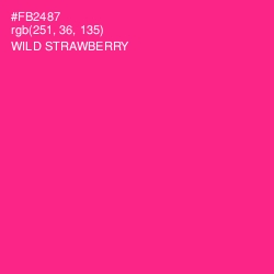 #FB2487 - Wild Strawberry Color Image