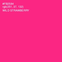 #FB2584 - Wild Strawberry Color Image