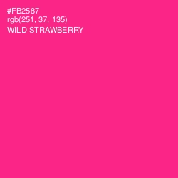 #FB2587 - Wild Strawberry Color Image