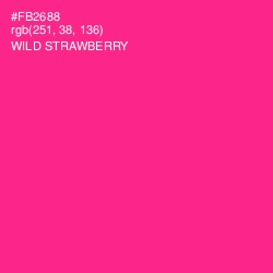 #FB2688 - Wild Strawberry Color Image