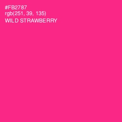 #FB2787 - Wild Strawberry Color Image