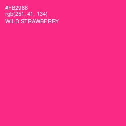 #FB2986 - Wild Strawberry Color Image