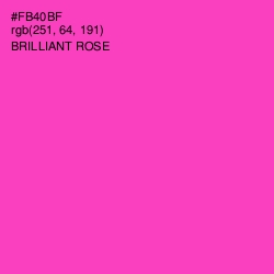 #FB40BF - Brilliant Rose Color Image