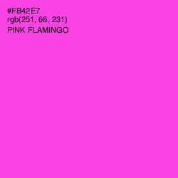 #FB42E7 - Pink Flamingo Color Image