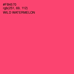 #FB4570 - Wild Watermelon Color Image