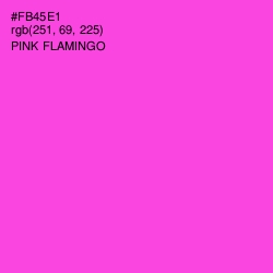 #FB45E1 - Pink Flamingo Color Image