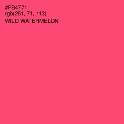 #FB4771 - Wild Watermelon Color Image