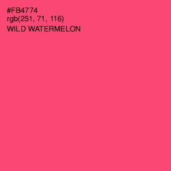 #FB4774 - Wild Watermelon Color Image