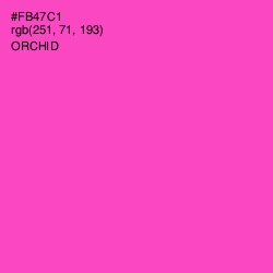 #FB47C1 - Orchid Color Image