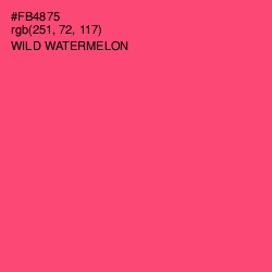 #FB4875 - Wild Watermelon Color Image
