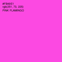 #FB49E1 - Pink Flamingo Color Image