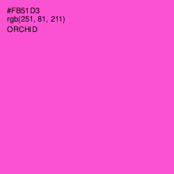 #FB51D3 - Orchid Color Image