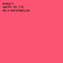 #FB5371 - Wild Watermelon Color Image