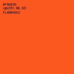 #FB5820 - Flamingo Color Image