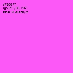 #FB58F7 - Pink Flamingo Color Image