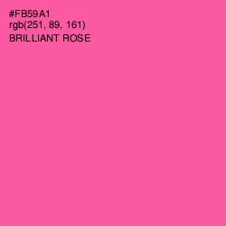 #FB59A1 - Brilliant Rose Color Image