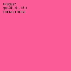 #FB5B97 - French Rose Color Image