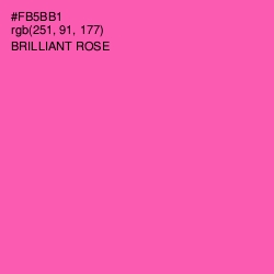 #FB5BB1 - Brilliant Rose Color Image