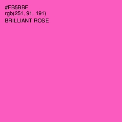 #FB5BBF - Brilliant Rose Color Image