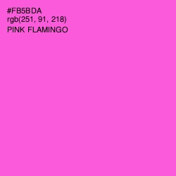 #FB5BDA - Pink Flamingo Color Image